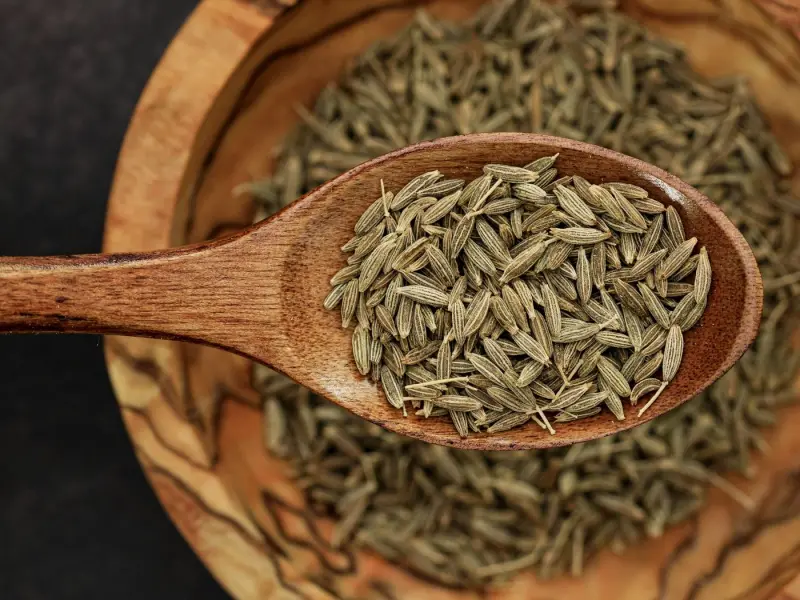 Cumin Powder